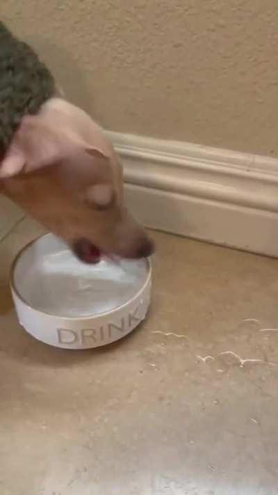 Very interesting way to drink