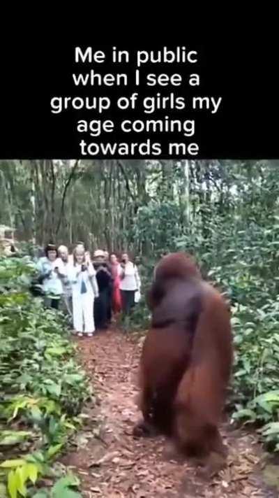 Monke