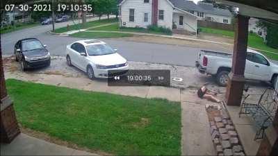 Dogmeat darts for rabbit mid-step.