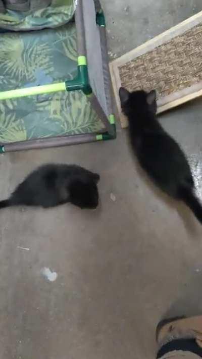 The void spawn are particularly loud today