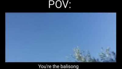 That's an interesting POV