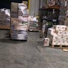 A raccoon broke into an alcohol supplier and got completely wasted