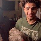 Chicken notices something isn’t quite right.