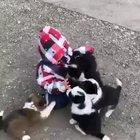 I can watch this all day everyday