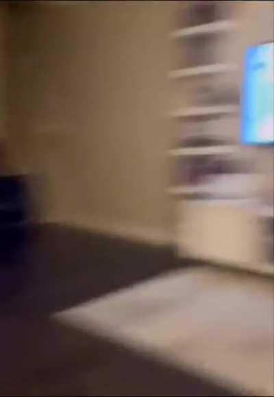 Good boy doesn’t like Darth Vader