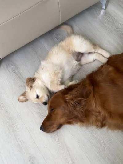 He’s been ignoring her for one day…l think she’s going to win his heart.