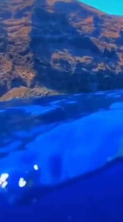 someone wants to say hi....