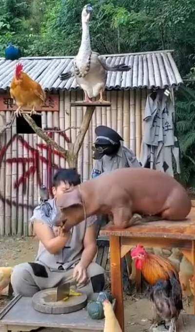 Своя атмосфера.