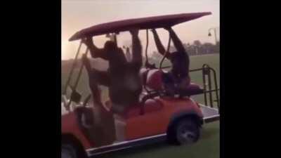 I gotta go bananas one time