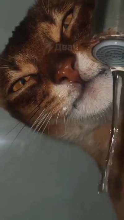 Водическое💦