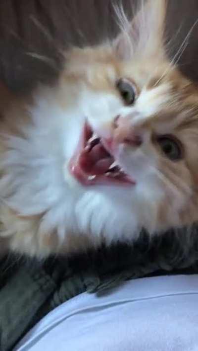 Update on George’s nose