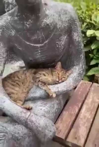 Удобно устроился