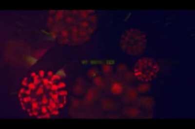 Genocidio em cronologia!