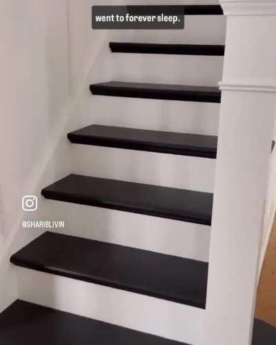 This is Max. He had a favorite step that he loved napping on so much it wore away the paint. Max has since passed away, but his favorite step has been preserved, just like his memory.