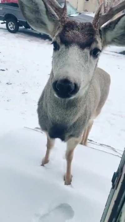 Look who's at the door