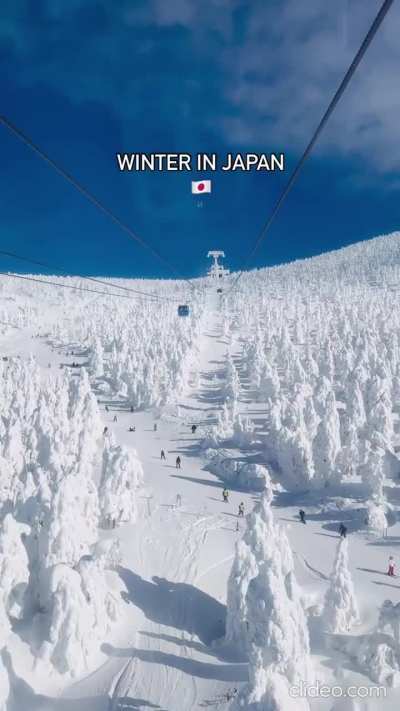 Japan, Zao Onsen Ski Resort in Yamagata. This resort is famous for unique natural phenomena, 