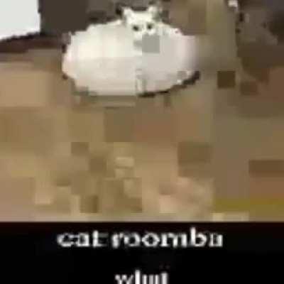 Completely decomposed, just a skeleton