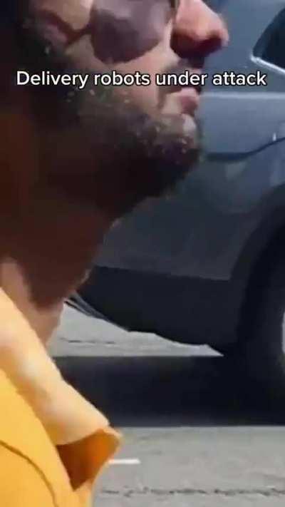 Delivery bots robbed in LA