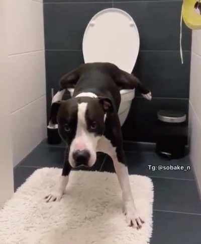 Is it comfortable for you?