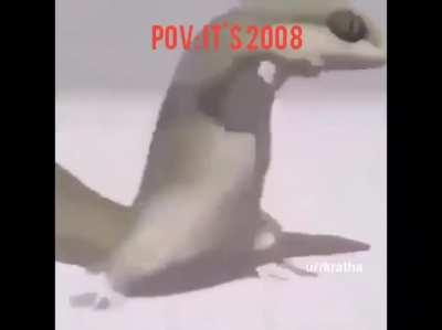 POV: It's 2008 and your dad bought his first nokia phone