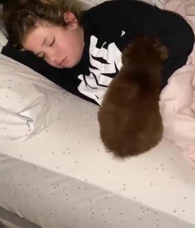 Surprising a daughter with puppy.