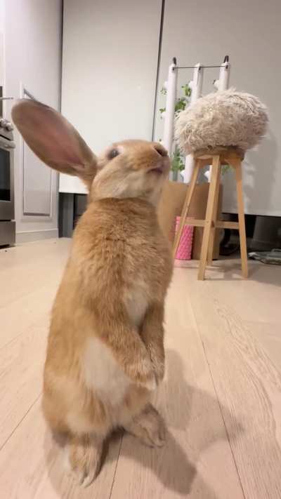 Mouf trying pineapple