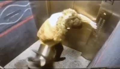 Восстание машин