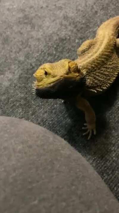 He stopped mid-bob to pose for a picture!!!