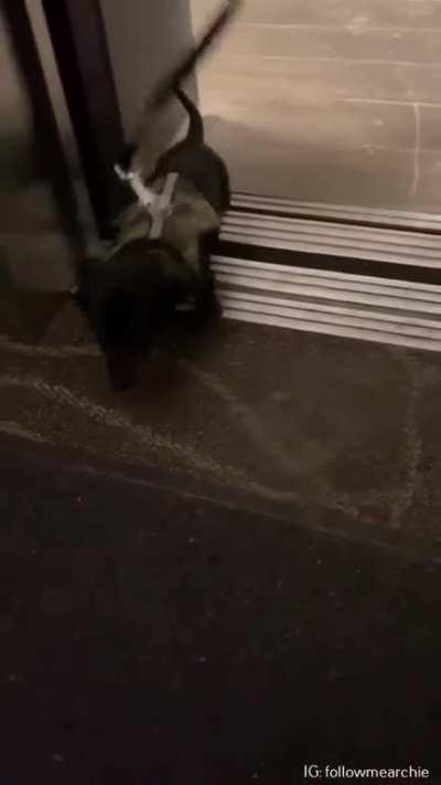 This definitely made my day