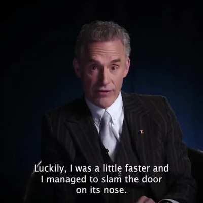 most coherent jbp talk