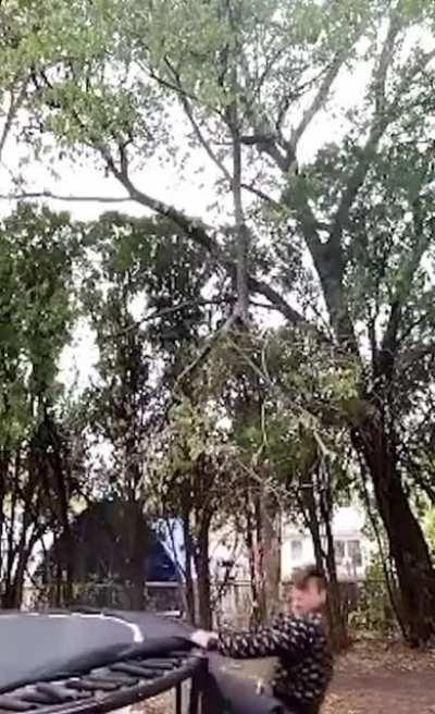 A fun way to use a trampoline...