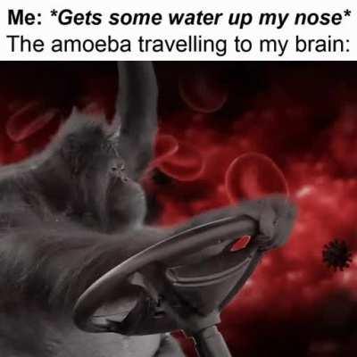 Luckily I’m safe, it's gonna starve