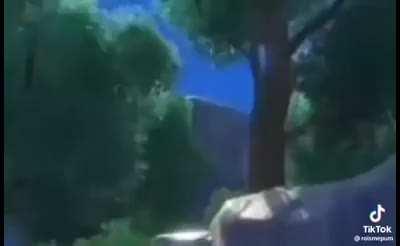 I think this fits here