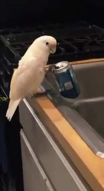 When you like to drink