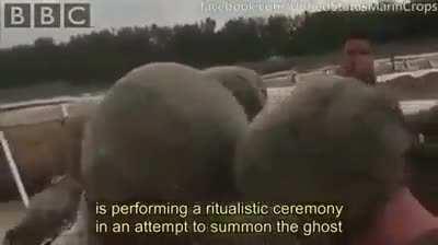 Marines in their natural habitat