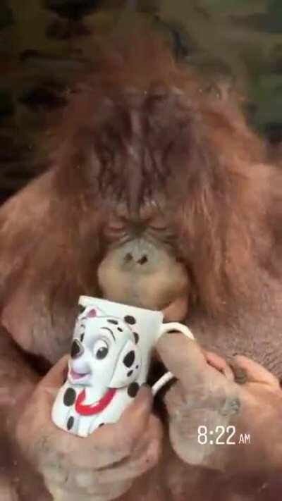 Cabeludo tomando café no começo das lives