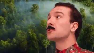 Furries would love this