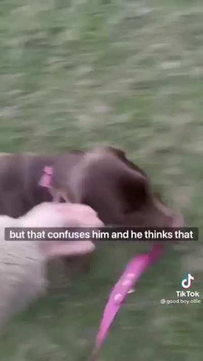 Talk about a role reversal