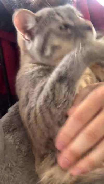 he's a good boy who lost his way