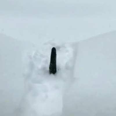 The risk I took was catculated, but man am I bad at math..