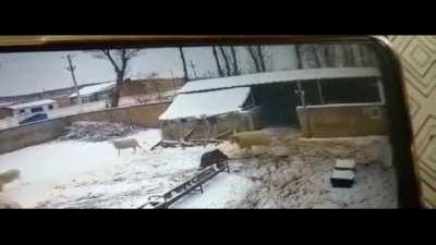 Шашлык разбушевался.