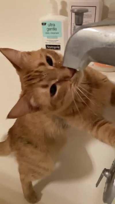 Bath faucet: 5 - Indie: 0