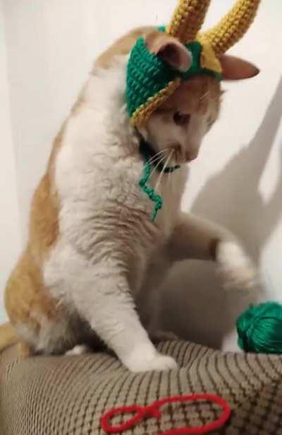 Lokitty by @green.slip.stitch