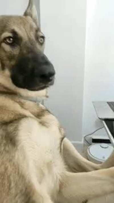 Friday afternoon release