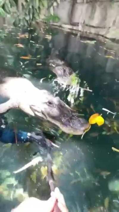 That water is so clear