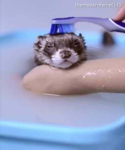 His life is way better than mine...