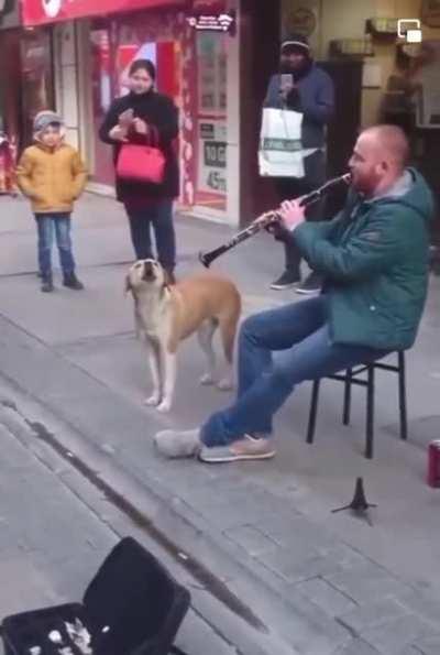 Perfect Duo. 😍🎶