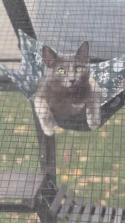 A cinematic view, followed by a tail tip cleaning🎥 🧼