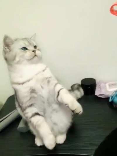 Merry Christmas happy Hanukkah and a happy blessed and wonderful New Year’s