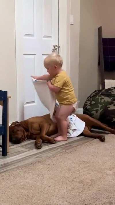 That's Little boy having beautiful caring heart.